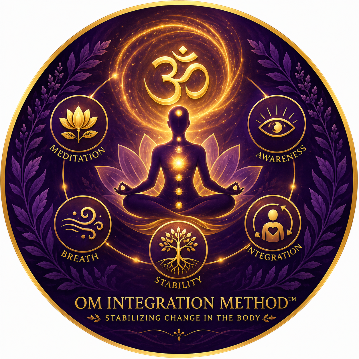 OM Integration Method program image